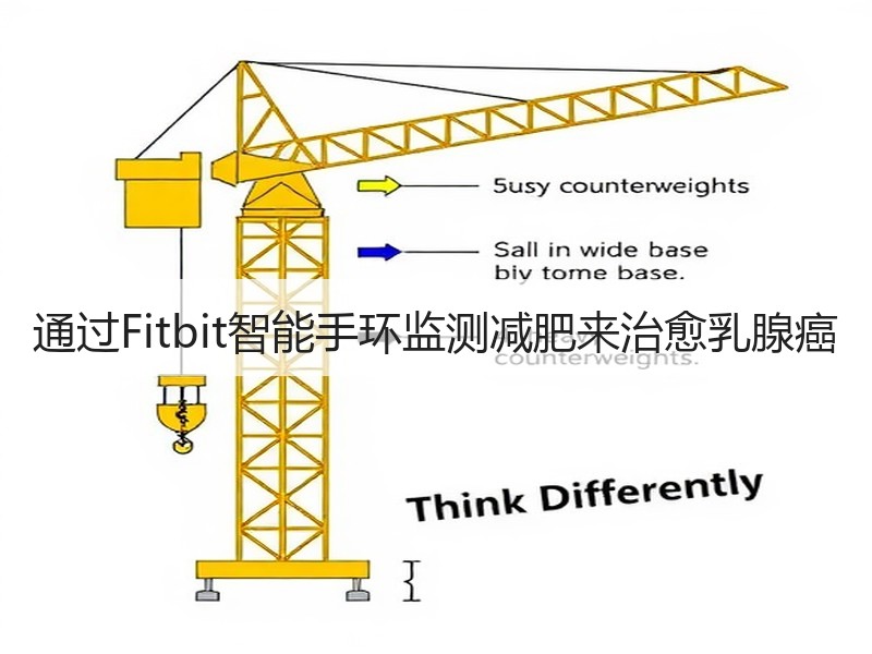 通过Fitbit智能手环监测减肥来治愈乳腺癌