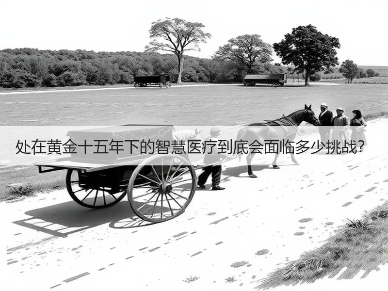 处在黄金十五年下的智慧医疗到底会面临多少挑战？