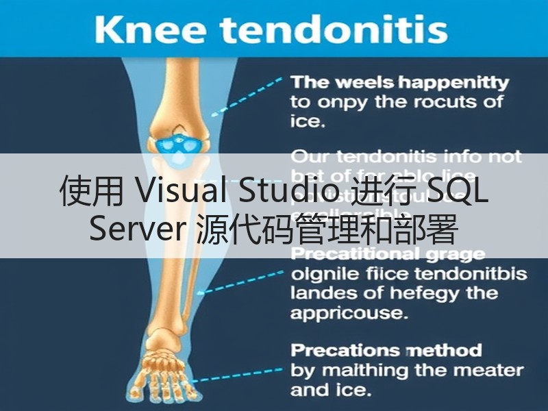 使用 Visual Studio 进行 SQL Server 源代码管理和部署