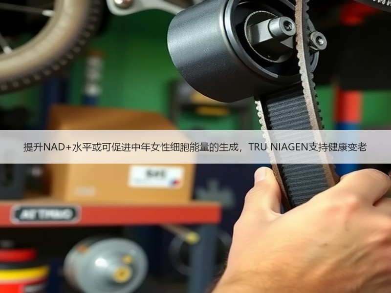 提升NAD+水平或可促进中年女性细胞能量的生成，TRU NIAGEN支持健康变老