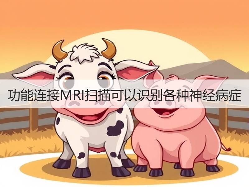 功能连接MRI扫描可以识别各种神经病症