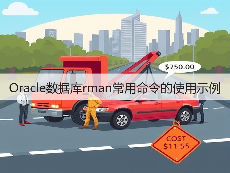 Oracle数据库rman常用命令的使用示例