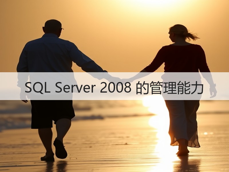 SQL Server 2008 的管理能力
