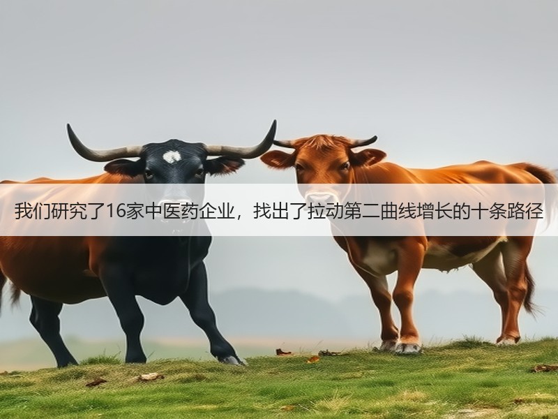 我们研究了16家中医药企业，找出了拉动第二曲线增长的十条路径
