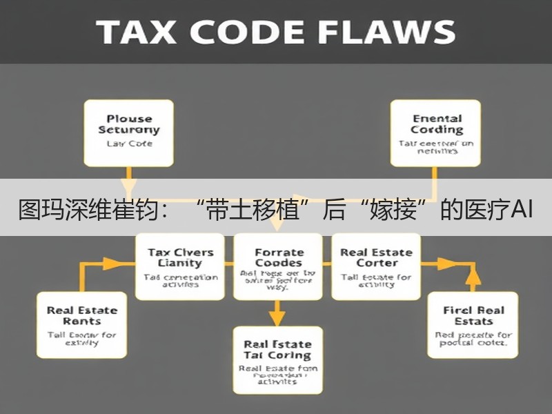 图玛深维崔钧：“带土移植”后“嫁接”的医疗AI