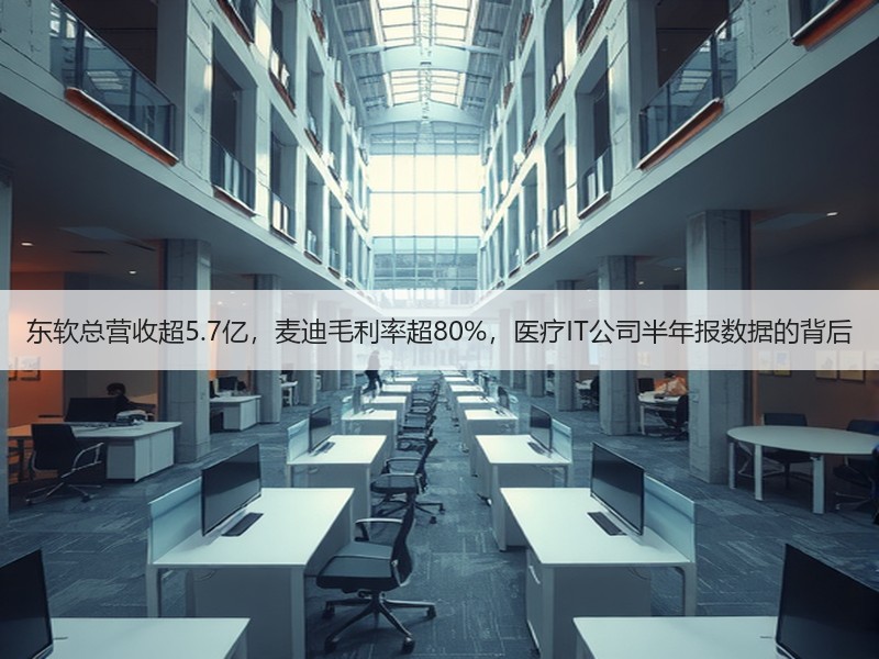 东软总营收超5.7亿，麦迪毛利率超80%，医疗IT公司半年报数据的背后