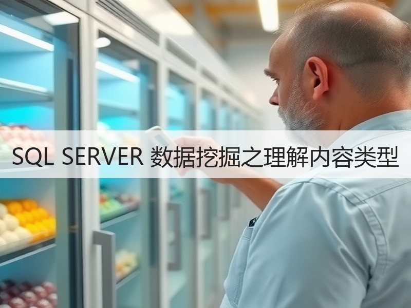SQL SERVER 数据挖掘之理解内容类型