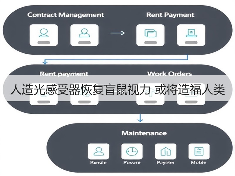 人造光感受器恢复盲鼠视力 或将造福人类