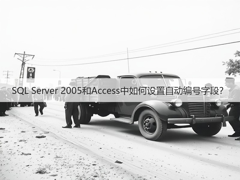 SQL Server 2005和Access中如何设置自动编号字段？