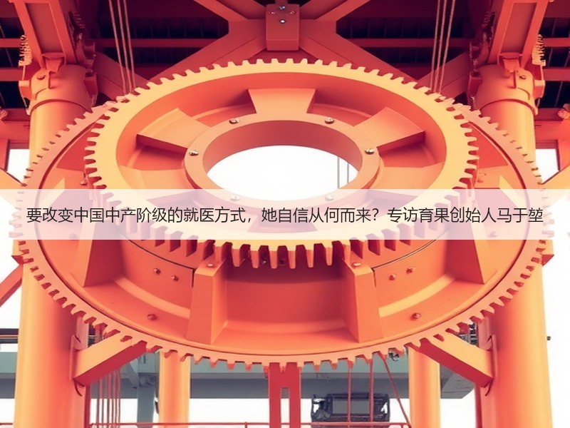 要改变中国中产阶级的就医方式，她自信从何而来？专访育果创始人马于堃
