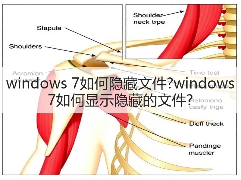 windows 7如何隐藏文件?windows 7如何显示隐藏的文件?