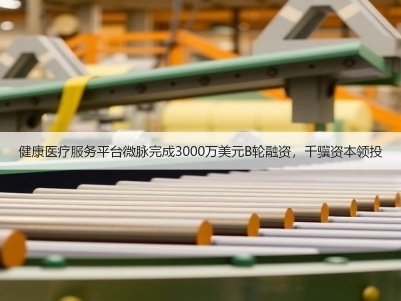 健康医疗服务平台微脉完成3000万美元B轮融资，千骥资本领投