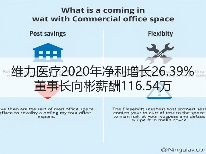 维力医疗2020年净利增长26.39% 董事长向彬薪酬116.54万