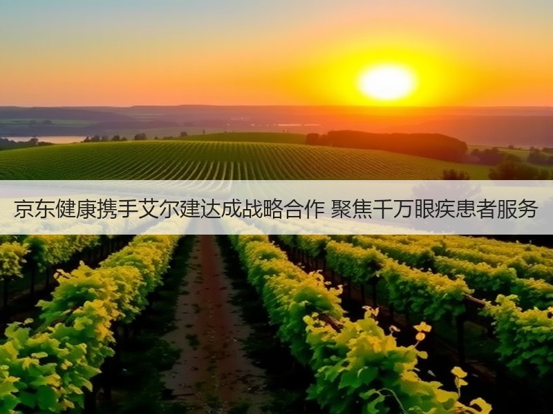 京东健康携手艾尔建达成战略合作 聚焦千万眼疾患者服务