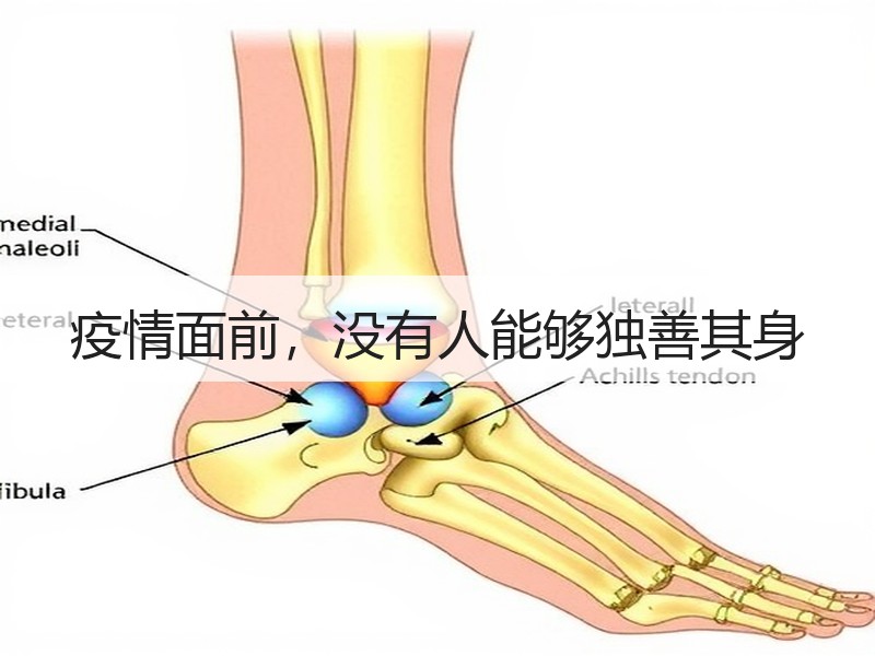 疫情面前，没有人能够独善其身