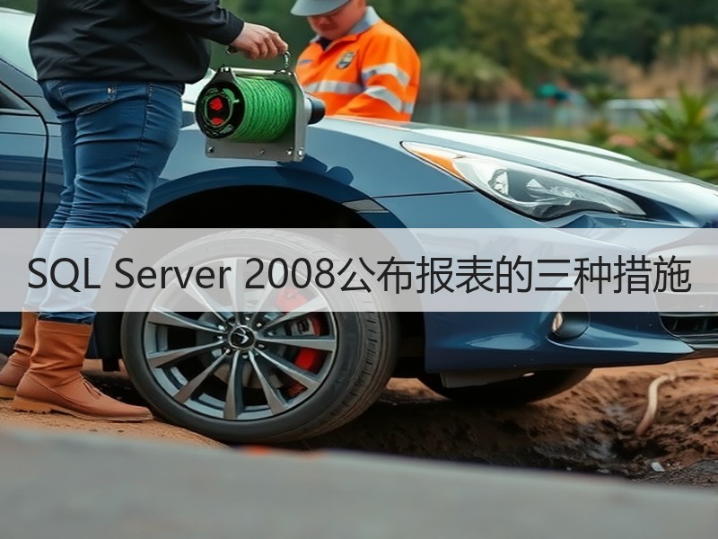 SQL Server 2008公布报表的三种措施
