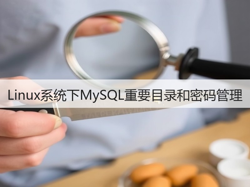 Linux系统下MySQL重要目录和密码管理