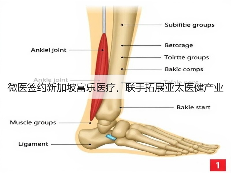 微医签约新加坡富乐医疗，联手拓展亚太医健产业