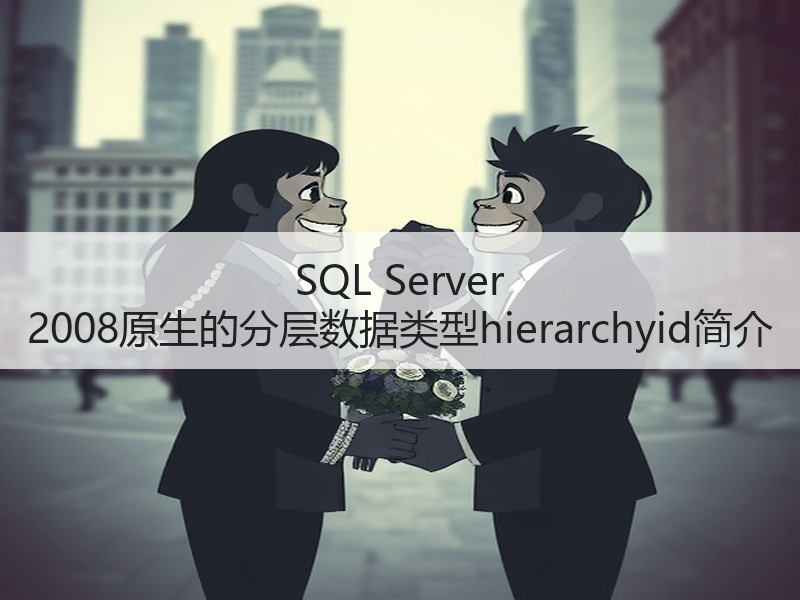SQL Server 2008原生的分层数据类型hierarchyid简介