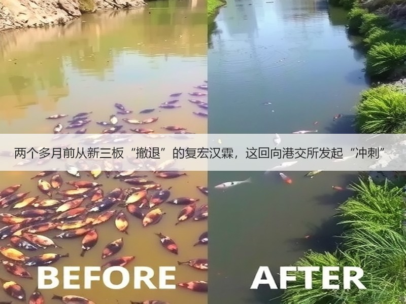 两个多月前从新三板“撤退”的复宏汉霖，这回向港交所发起“冲刺”