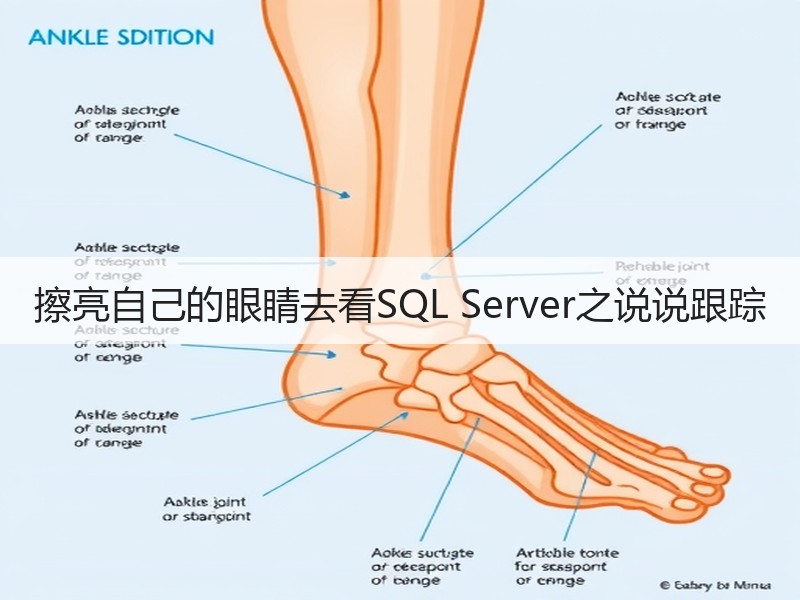 擦亮自己的眼睛去看SQL Server之说说跟踪