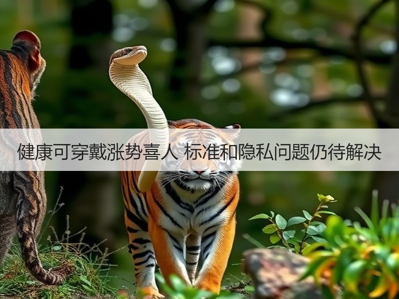 健康可穿戴涨势喜人 标准和隐私问题仍待解决
