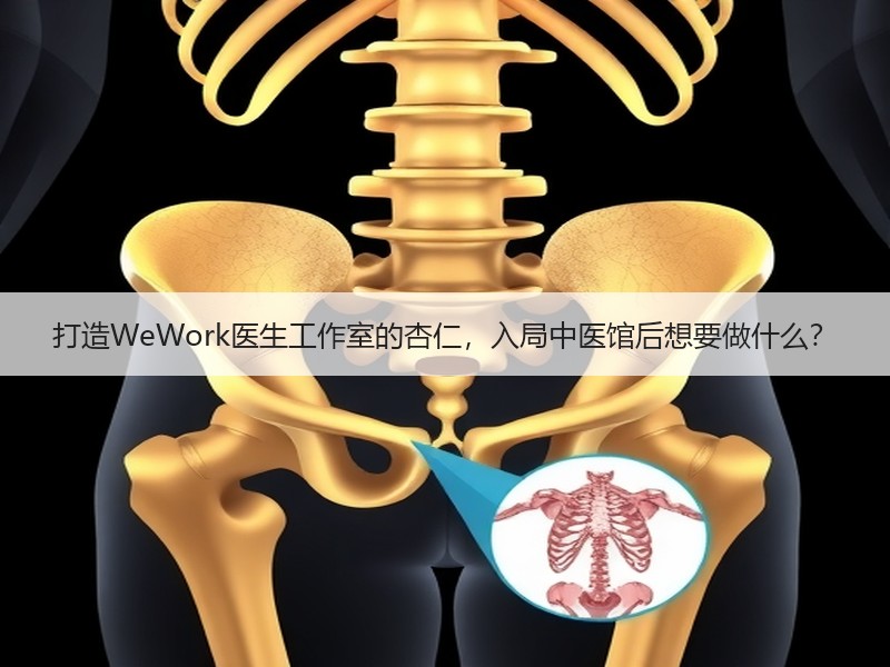 打造WeWork医生工作室的杏仁，入局中医馆后想要做什么？
