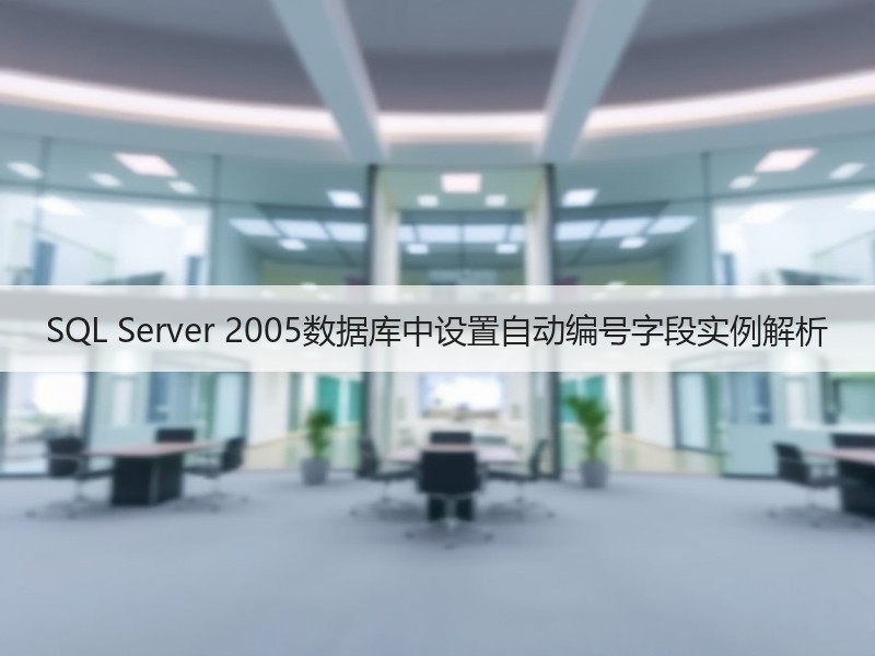 SQL Server 2005数据库中设置自动编号字段实例解析