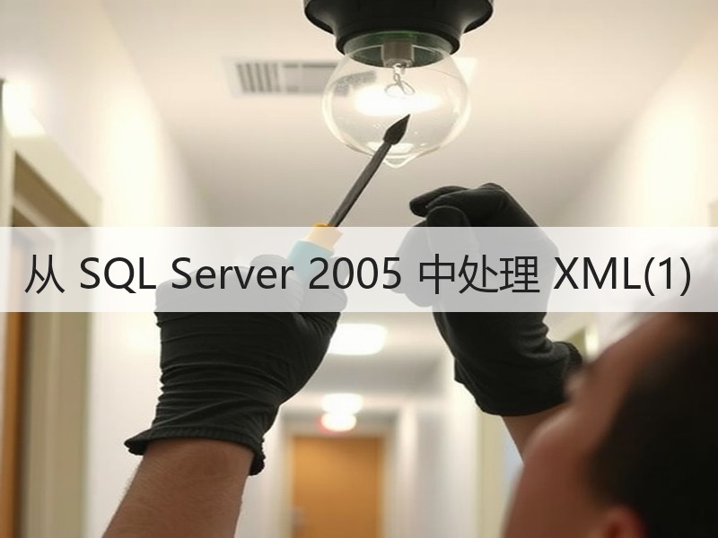 从 SQL Server 2005 中处理 XML(1)