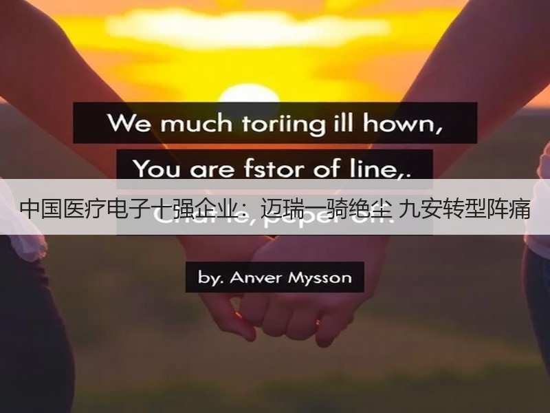 中国医疗电子十强企业：迈瑞一骑绝尘 九安转型阵痛