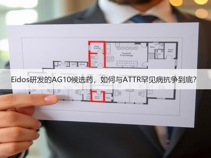 Eidos研发的AG10候选药，如何与ATTR罕见病抗争到底？