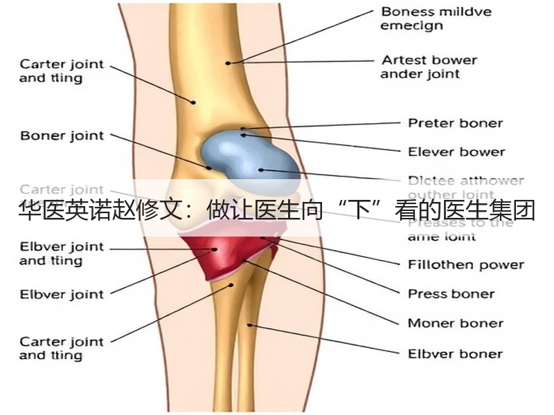 华医英诺赵修文：做让医生向“下”看的医生集团