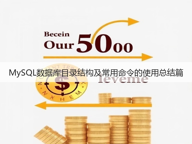 MySQL数据库目录结构及常用命令的使用总结篇
