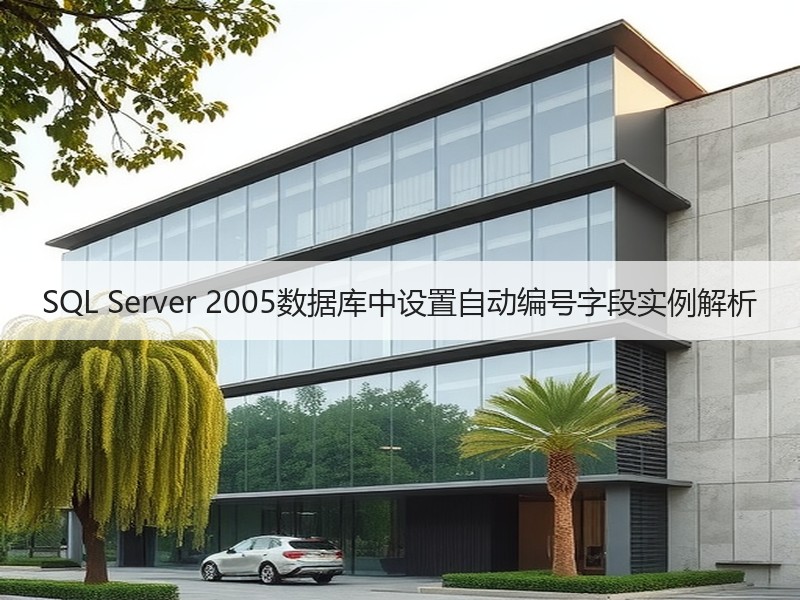 SQL Server 2005数据库中设置自动编号字段实例解析
