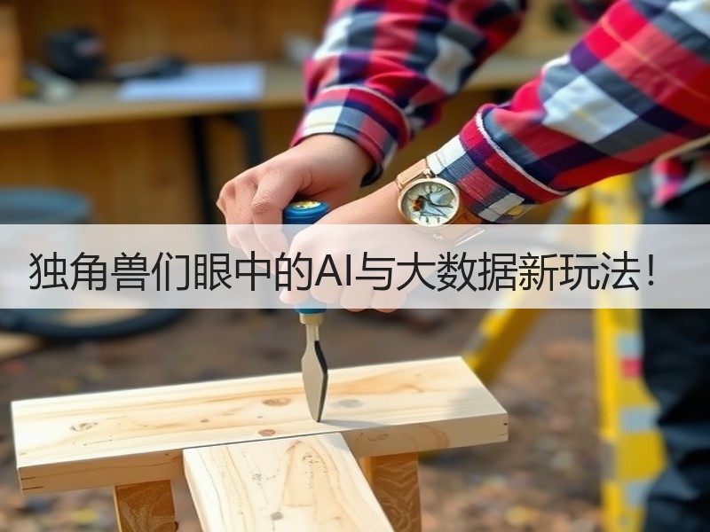 独角兽们眼中的AI与大数据新玩法！