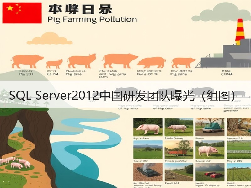 SQL Server2012中国研发团队曝光（组图）