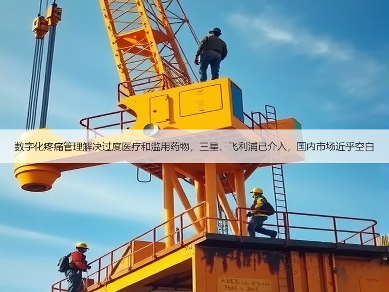 数字化疼痛管理解决过度医疗和滥用药物，三星、飞利浦已介入，国内市场近乎空白
