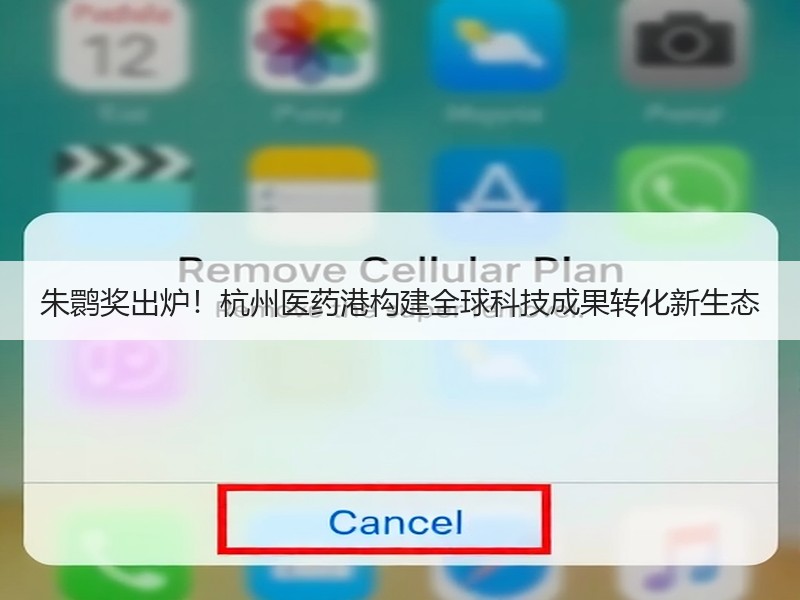 朱鹮奖出炉！杭州医药港构建全球科技成果转化新生态