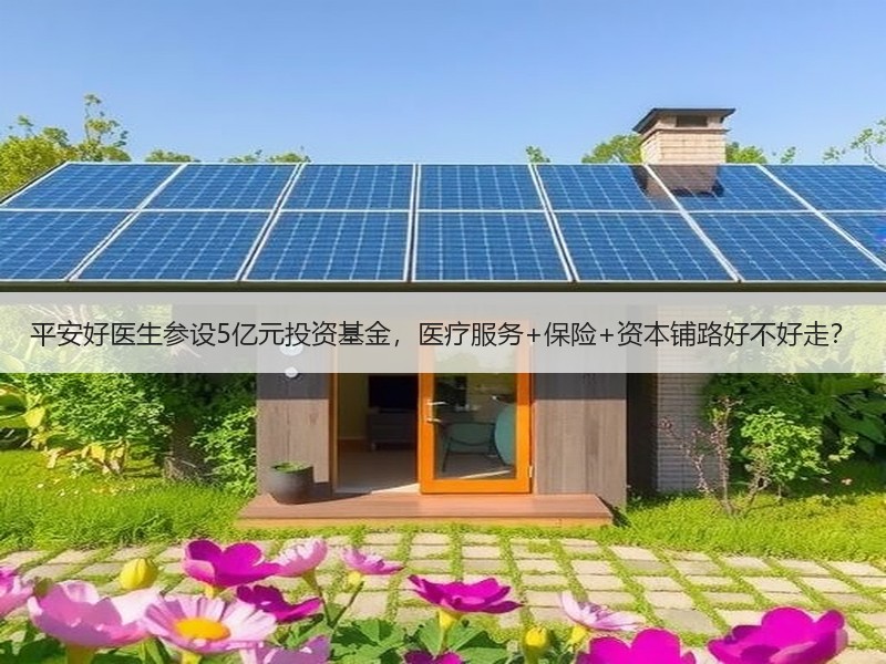 平安好医生参设5亿元投资基金，医疗服务+保险+资本铺路好不好走？